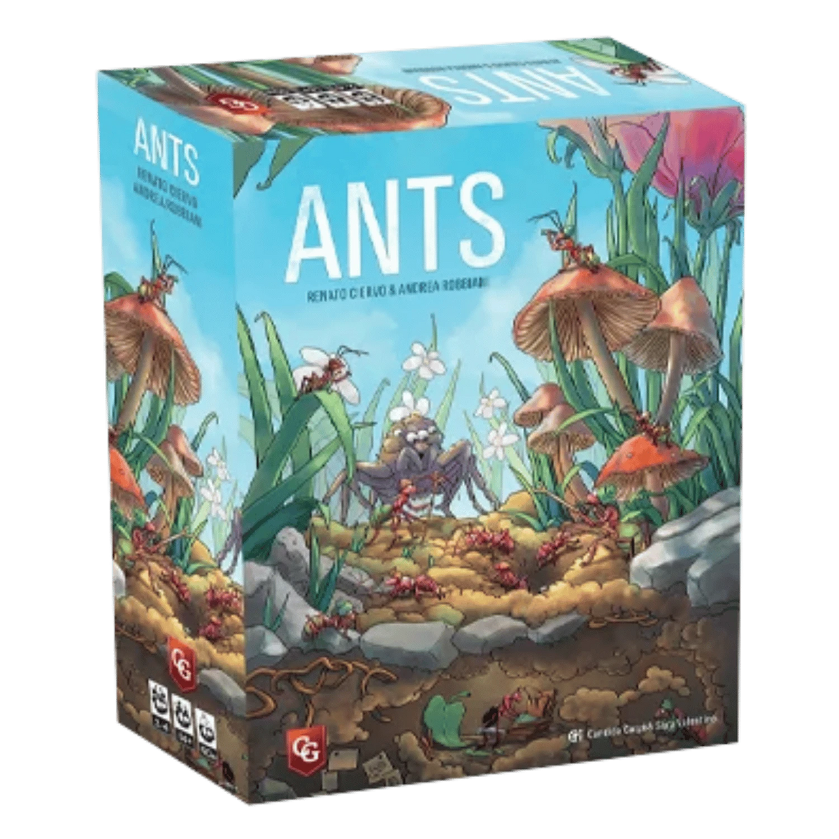 Ants